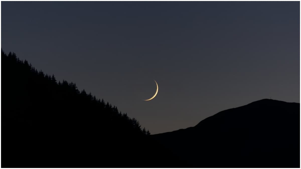 Crescent Moon Crescent Moon