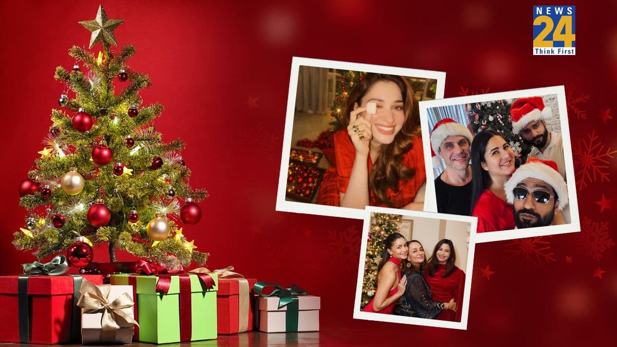 कैटरीना कैफ से आलिया भट्ट तक, बॉलीवुड सितारों ने यूं मनाया क्रिसमस डे; Xmas ट्री के सामने दिए पोज