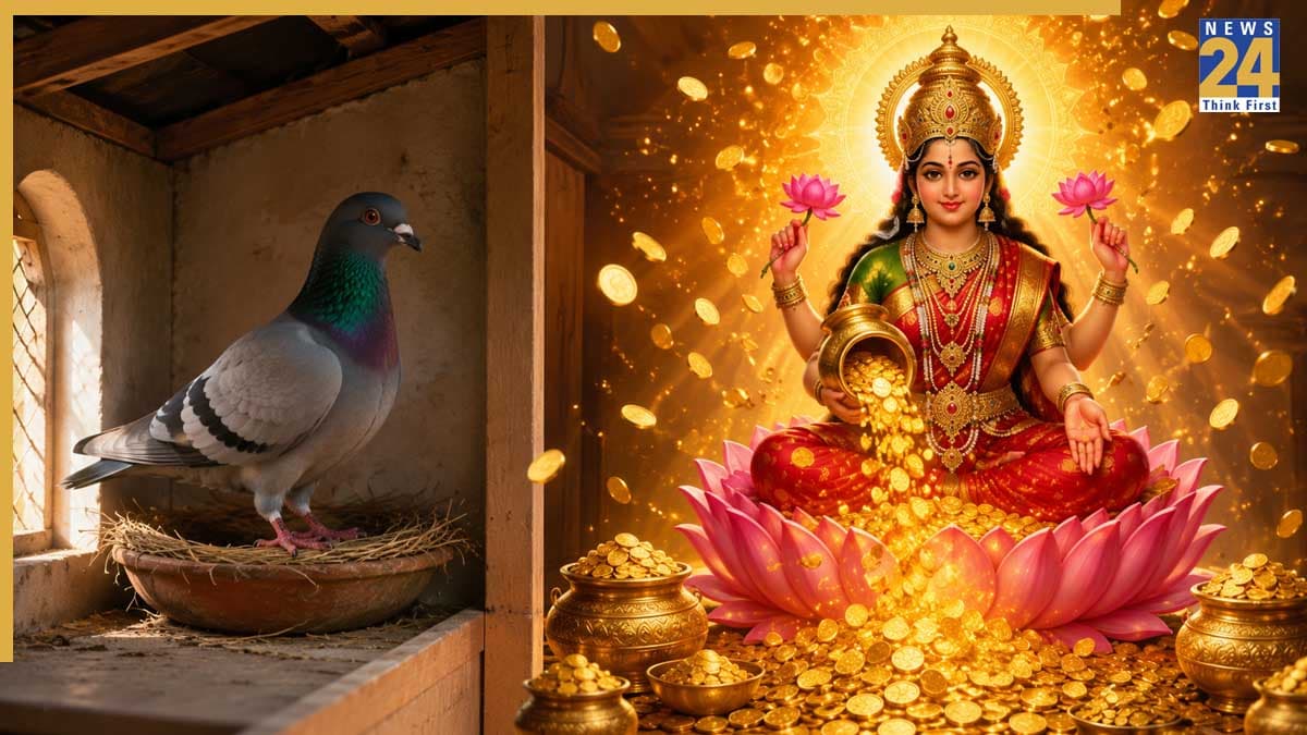 Pigeon Lucky Signs: घर में लक्ष्मी आने से पहले कबूतर देता है ये खास इशारे, शकुन शास्त्र का बड़ा खुलासा