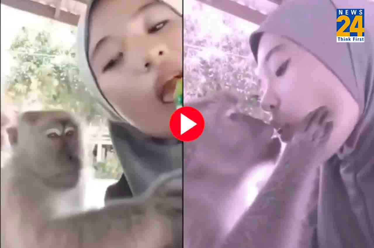 Viral Video: लड़की देखते ही बंदर ने खोया आपा, सरेआम कर दी किस