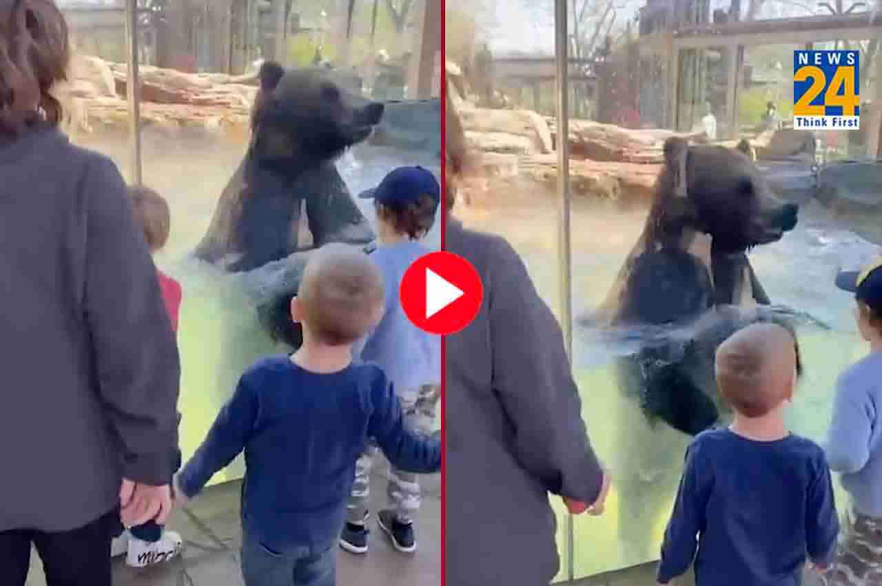 Viral Video: बच्चों को देख मस्ती में मस्त हुआ ये क्यूट भालू, मजेदार वीडियो देख बन जाएगा आपका दिन