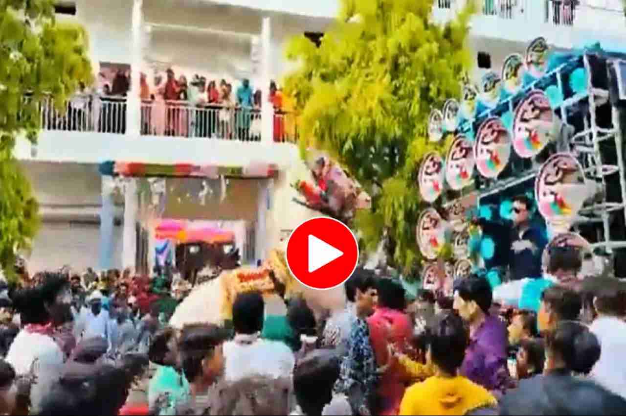 Viral Video: डीजे बजाकर बाराती लगा रहे थे ठुमके, तभी घोड़ी का फिरा दिमाग, देखें फिर क्या हुआ