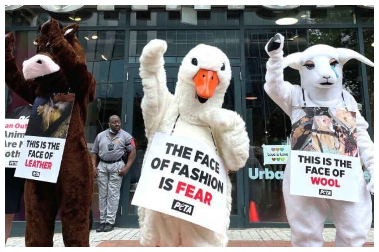 PETA: बूचड़खानों में पशु संरक्षण कानून का उल्लंघन, PETA ने की कार्रवाई की मांग