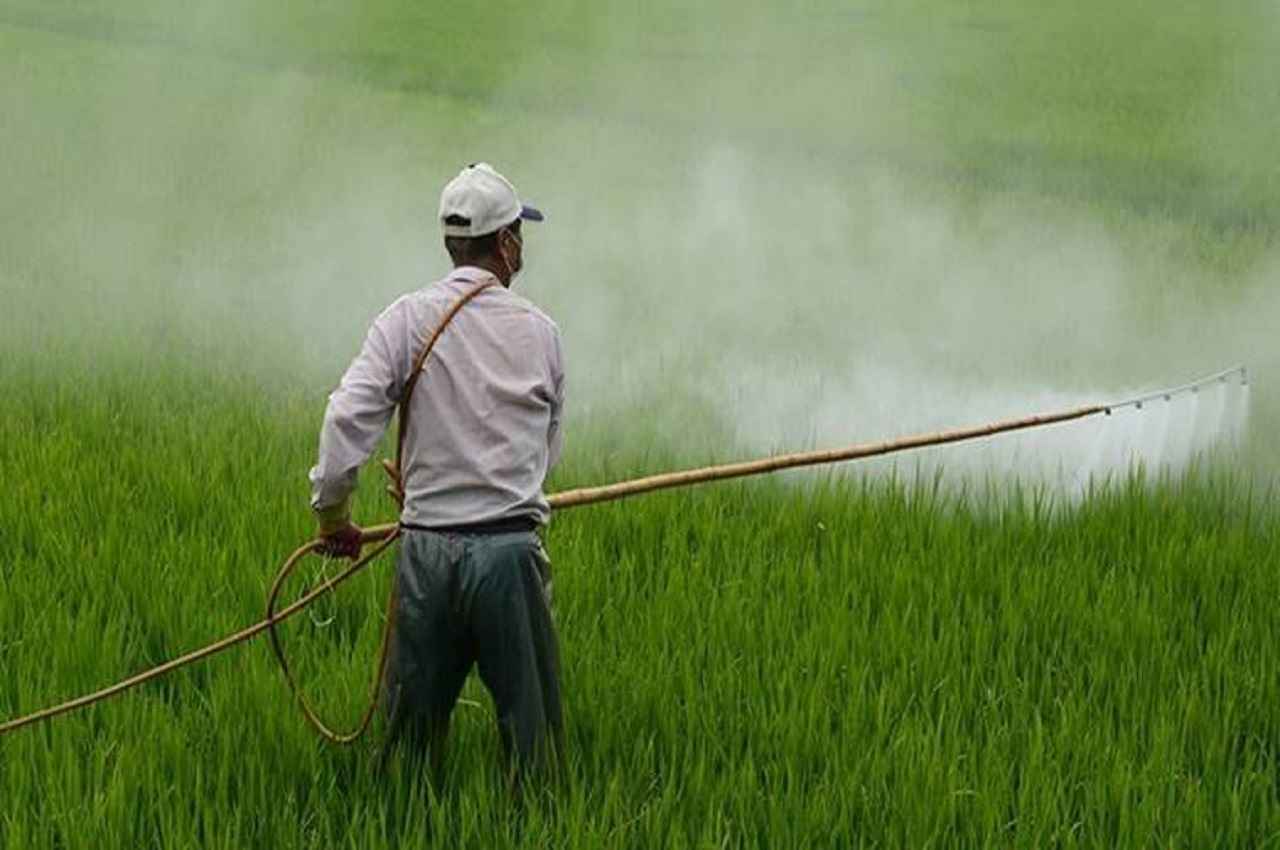 शेयर बाजार में अच्छा प्रदर्शन करने वाली भारतीय उर्वरक कंपनियों की लिस्ट आई सामने, देखें