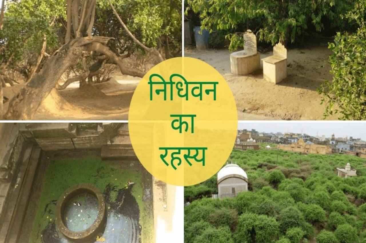 Janmashtami 2022: निधिवन में जिसने भी राधा-कृष्ण को आते-जाते देखा हो गया पागल! जानें सच्चाई