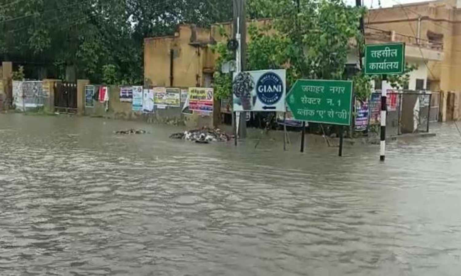 Rajasthan Weather Report: प्रदेश में कल फिर से दस्तक दे सकता है मानसून, इन जिलों के लिए बारिश का अलर्ट जारी