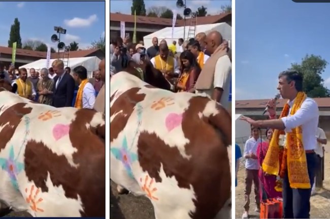 Rishi Sunak performs Gau pooja
