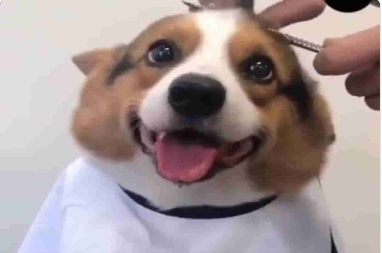 Sc