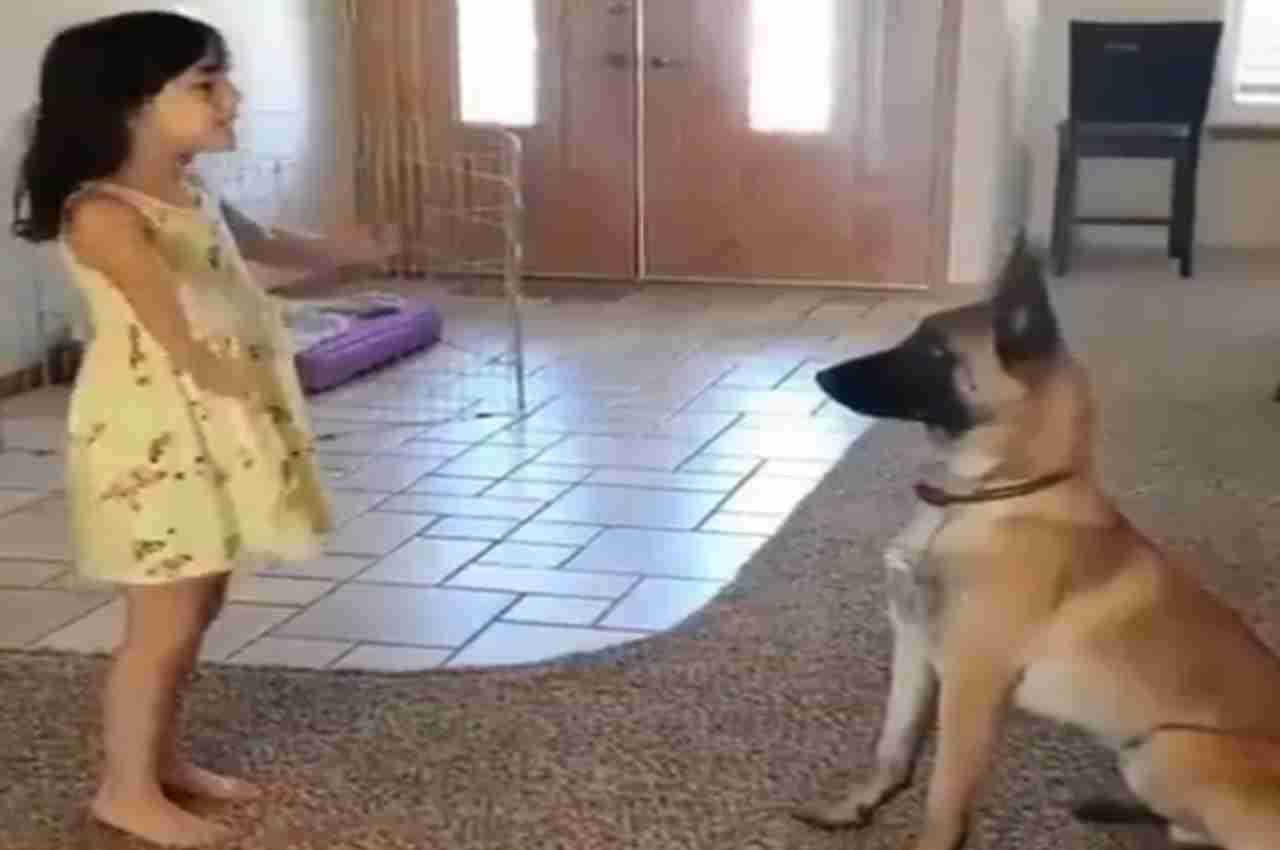 Viral Video: बच्ची ने डॉगी के साथ खेला लुका-छिपी, ये Video आपका दिल जीत लेगा