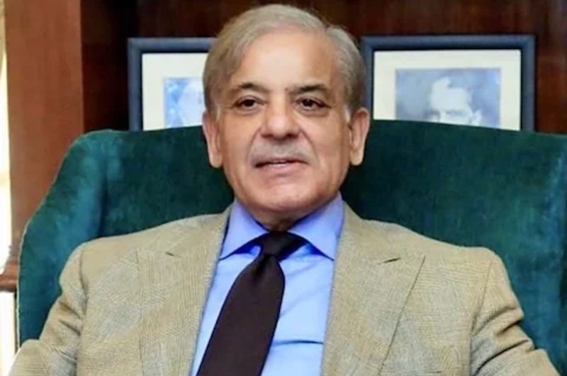 Pakistan Politics, shehbaz sharif, pak national assembly, pak interim pm, pakistan elections, ishaq dar, pakistan news