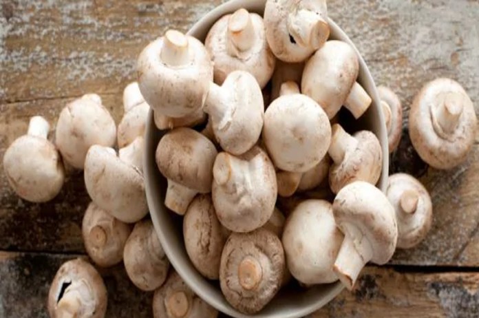 Mushrooms Benefits