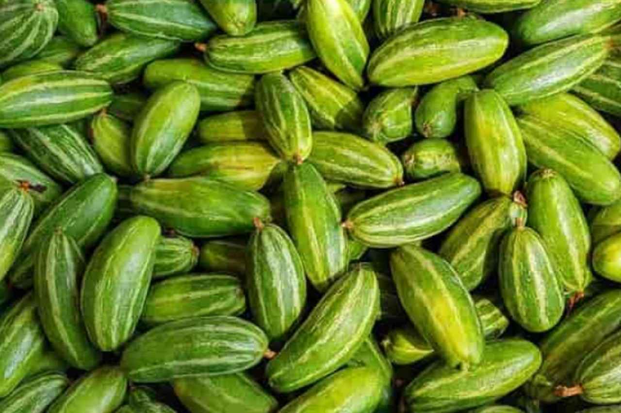 Pointed Gourd Benefits: खून को साफ कर देती है ये सब्जी, मिलते हैं जबरदस्त फायदे