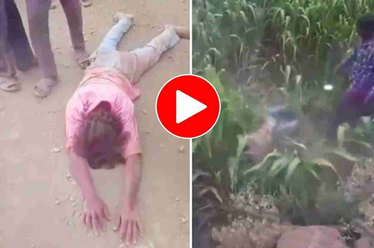 Viral Video: नागिन डांस करते-करते खेतों में जा पहुंचा शख्स, लोगों ने कहा- ‘नागमणि लेके ही मानेगा’