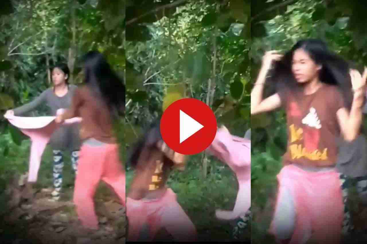 Viral Video: कटहल तोड़ने गई लड़की के साथ हुआ ऐसा कांड, देख आपके भी निकल जाएंगे आंसू