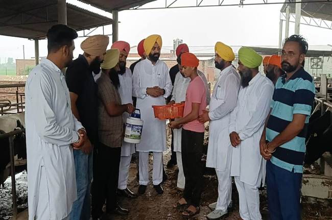 рд▓рдореНрдкреА рд▓рдореНрдкреА