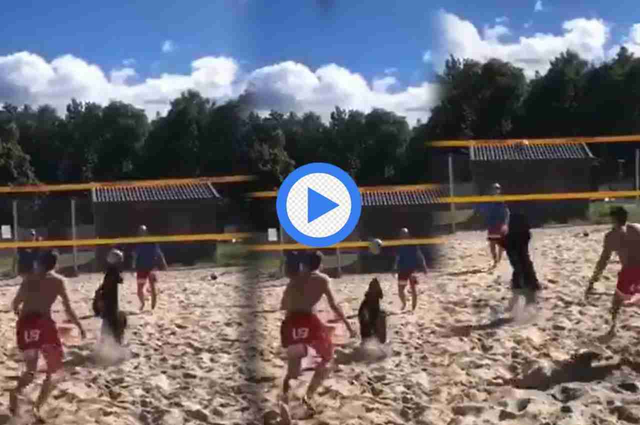 Viral Video: इंसानों के खेल में कुत्ते ने मारी बाजी, देखकर फटी रह जाएगी आंखें