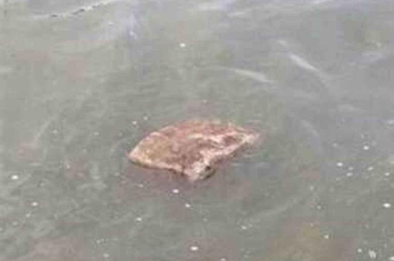 Miracle In Mainpuri: नदी में तैर रहे 'राम नाम' के पत्थर को देख चरवाहे ने लगाई छलांग, प्रधान ने किया बड़ा ऐलान