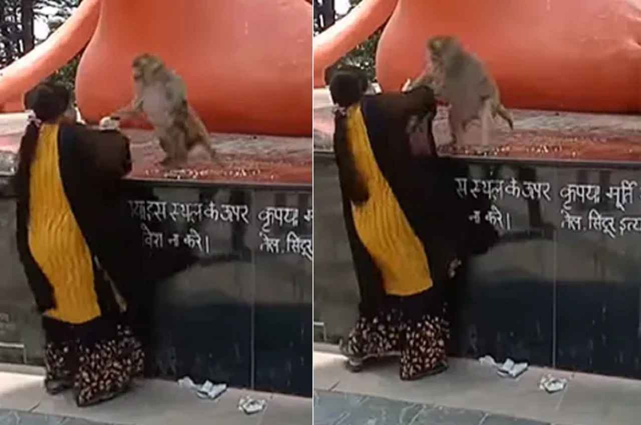 Viral Video: महिला और बंदर की चश्मे को लेकर हो गई खतरनाक लड़ाई, एक दूसरे पर किया जमकर हमला