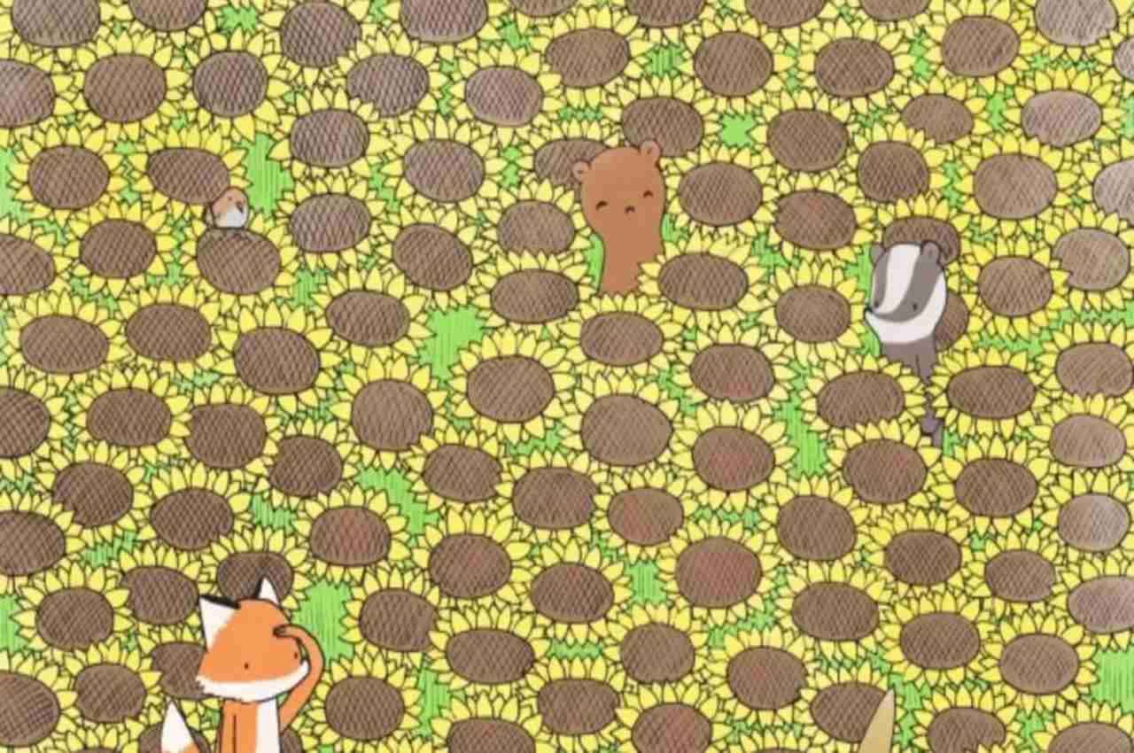 Optical Illusion: तस्वीर में ठीक नजर के सामने है तितली, आपको दिखी क्या?