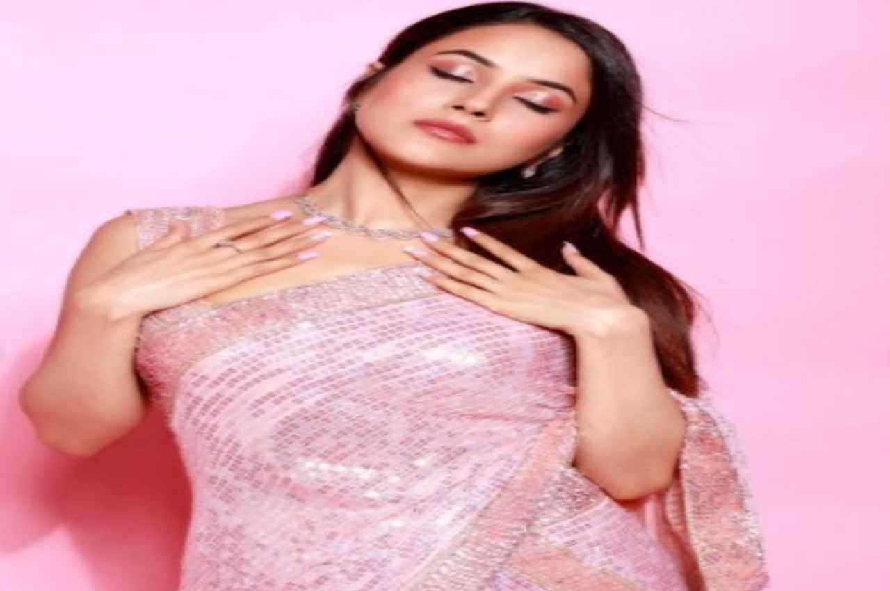 Shehnaaz Gill Video: शहनाज गिल ने किया नई फिल्म का ऐलान, फैंस का बज्ज़ हाई
