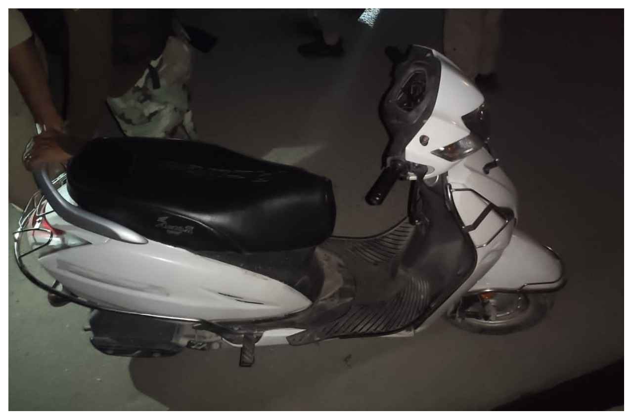 scoter