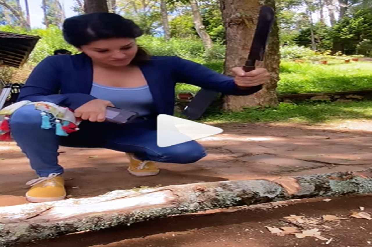 Sunny Leone को आया गुस्सा, कटार लेकर पेड़ पर करने लगीं वार, देखें वीडियो