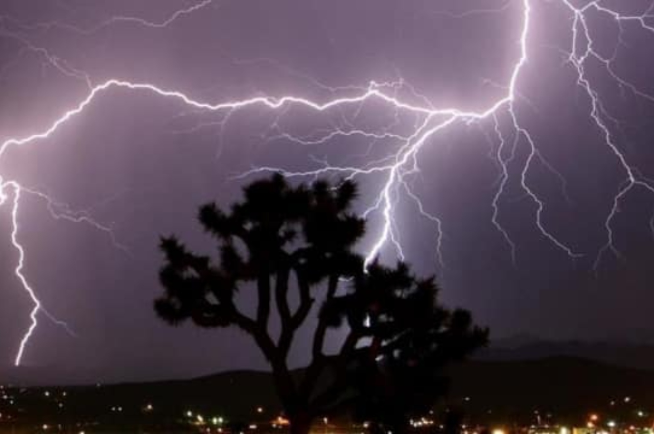 7 people died due to lightning in the state