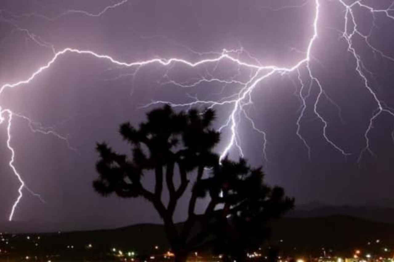 Rajasthan: प्रदेश में आकाश से बरसा काल! बिजली की चपेट में आने से 7 लोगों की मौत, चार झुलसे