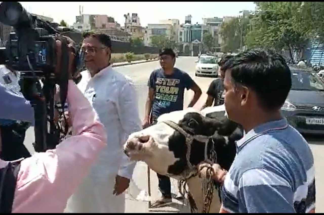 Rajasthan: विधायक सुरेश रावत के प्रदर्शन पर डोटासरा ने ली चुटकी, बोले- गौ माता को भी भाजपा की "नौटंकी" समझ आ गई