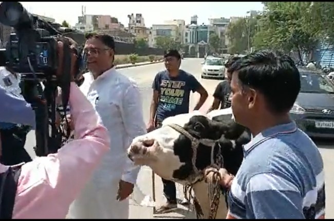 BJP MLA arrived with a cow in the assembly