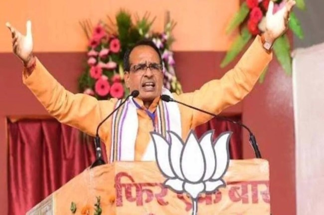 MP Nikay Chunav MP Nikay Chunav