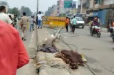 Delhi Road Accident