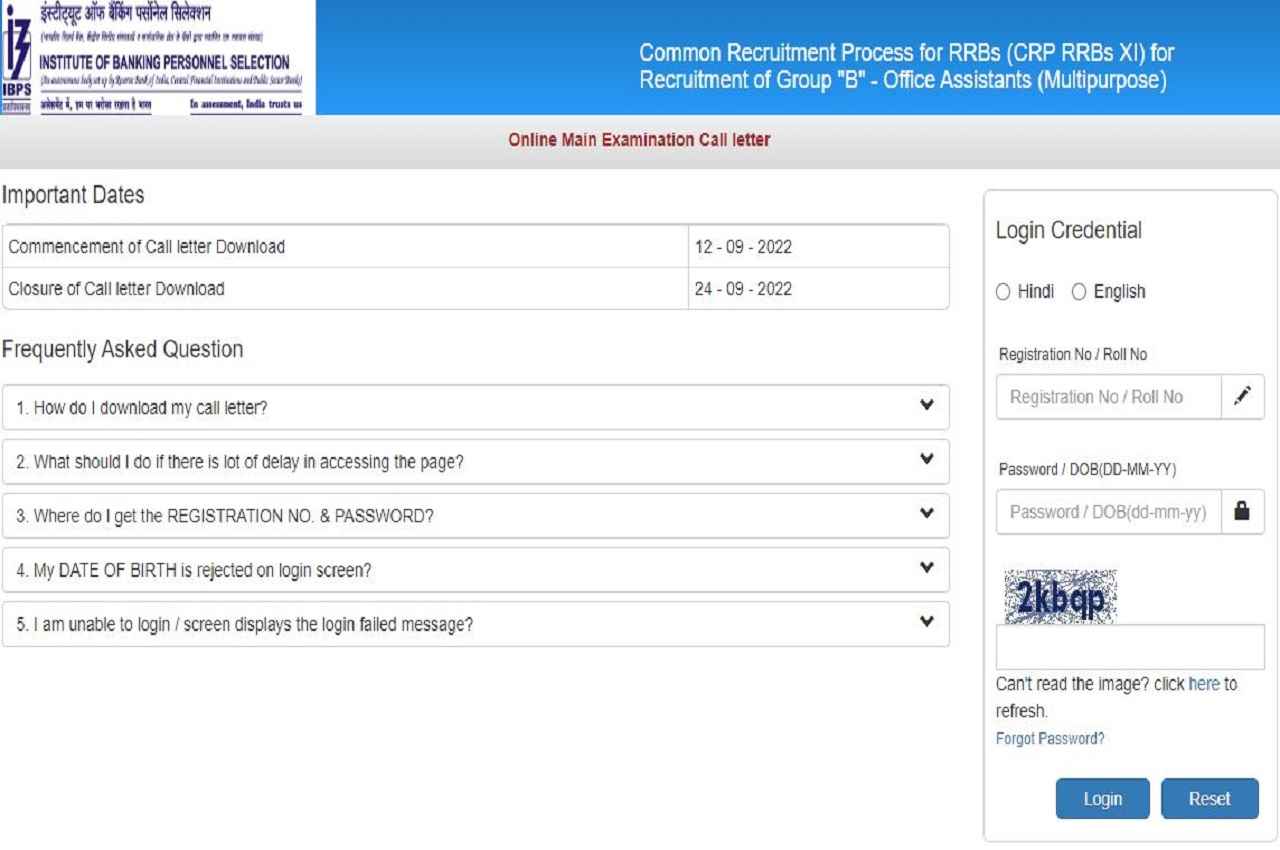 IBPS RRB Mains Admit card 2022: आरआरबी मुख्य परीक्षा के लिए एडमिट कार्ड जारी, यहां एक क्लिक में करें डाउनलोड
