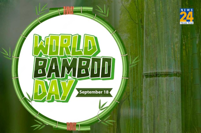 World Bamboo Day 2022