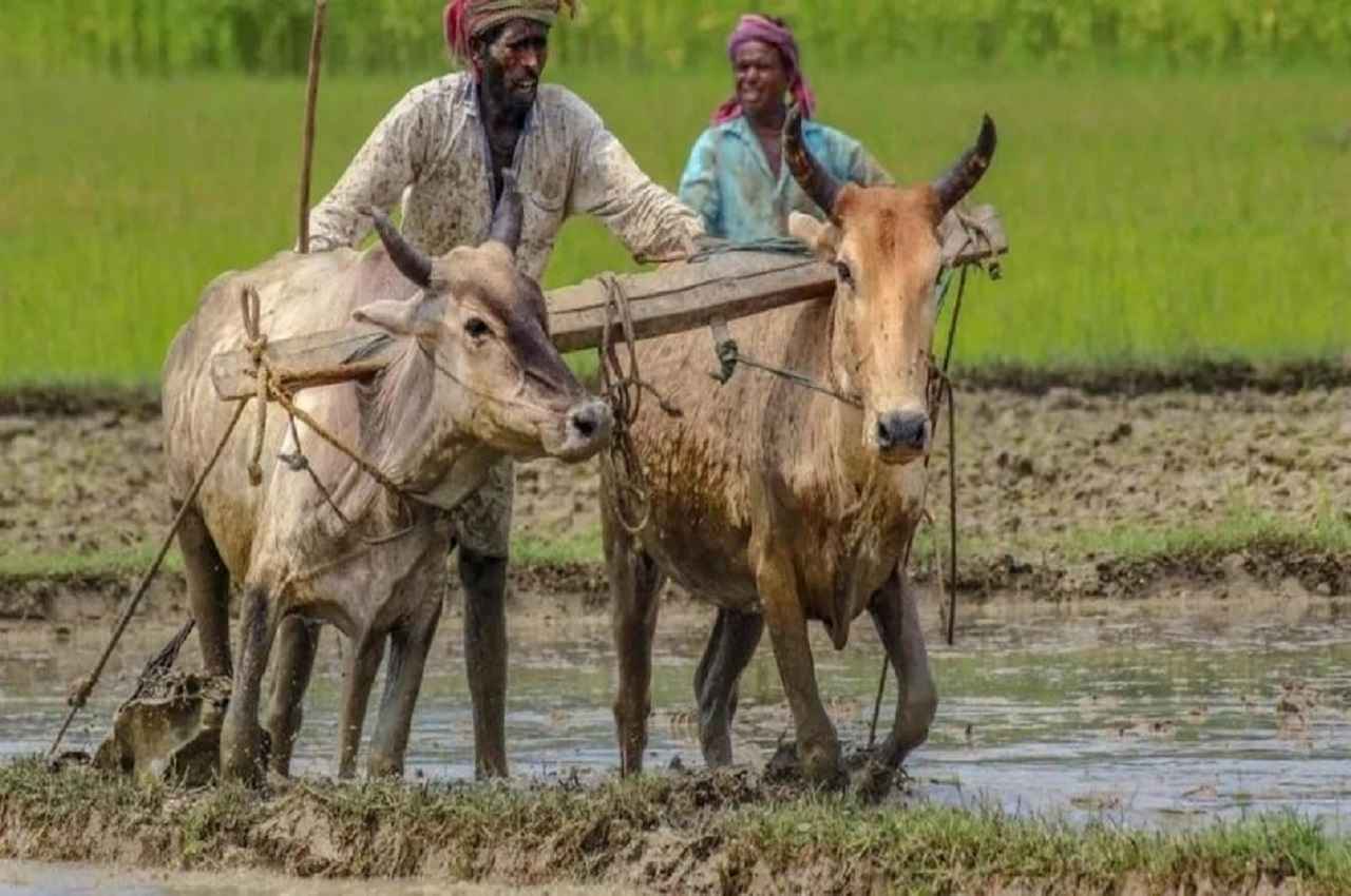PM Kisan Yojana: इन किसानों को नहीं मिलेगी अगली किस्त, जानिए क्यों