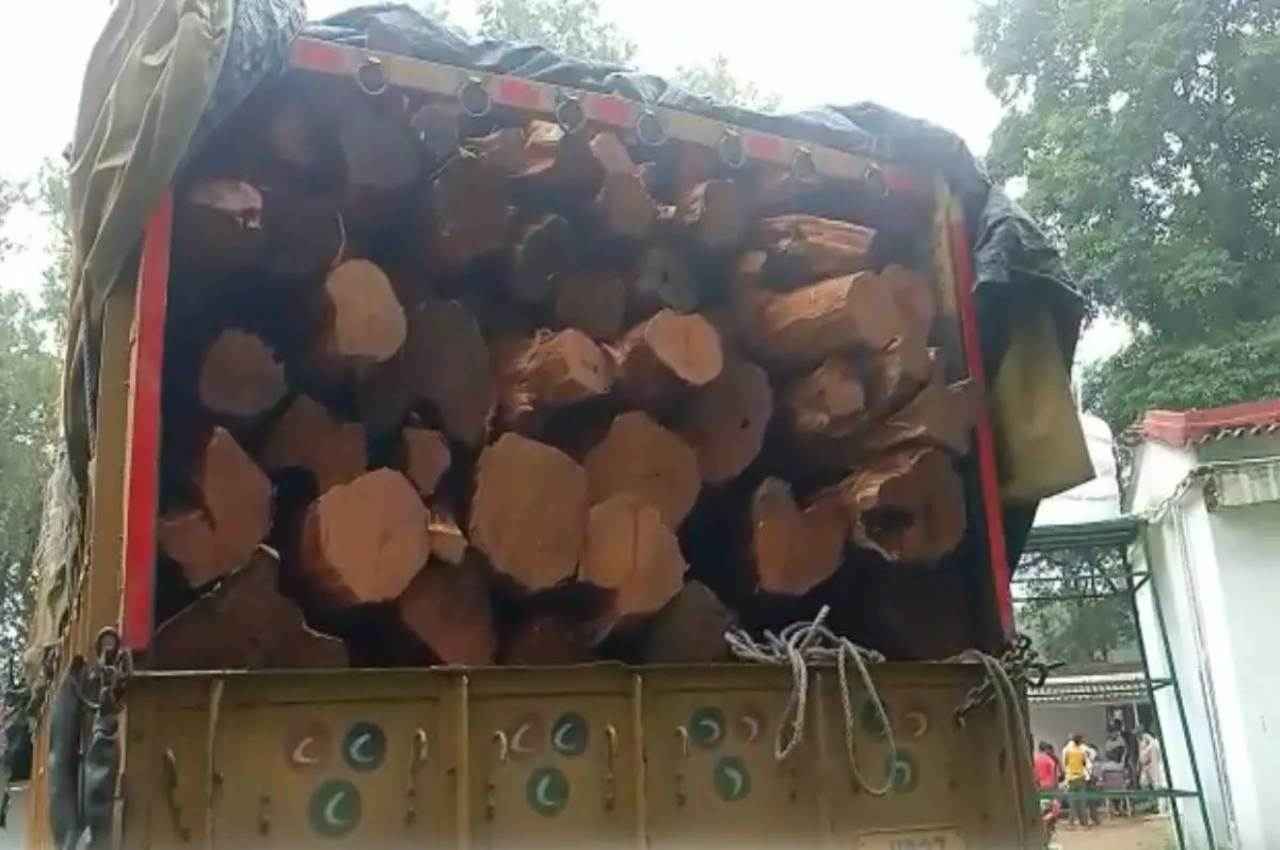 छत्तीसगढ़ में वन कर्मचारियों पर जानलेवा हमला, आरोपी लाखों की कत्था लकड़ियों के साथ गिरफ्तार