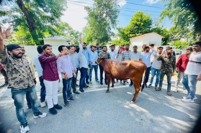 ABVP's unique performance on Lumpy virus