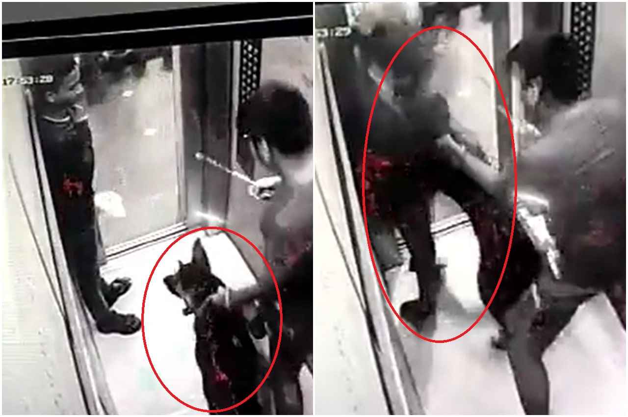 Noida viral video News