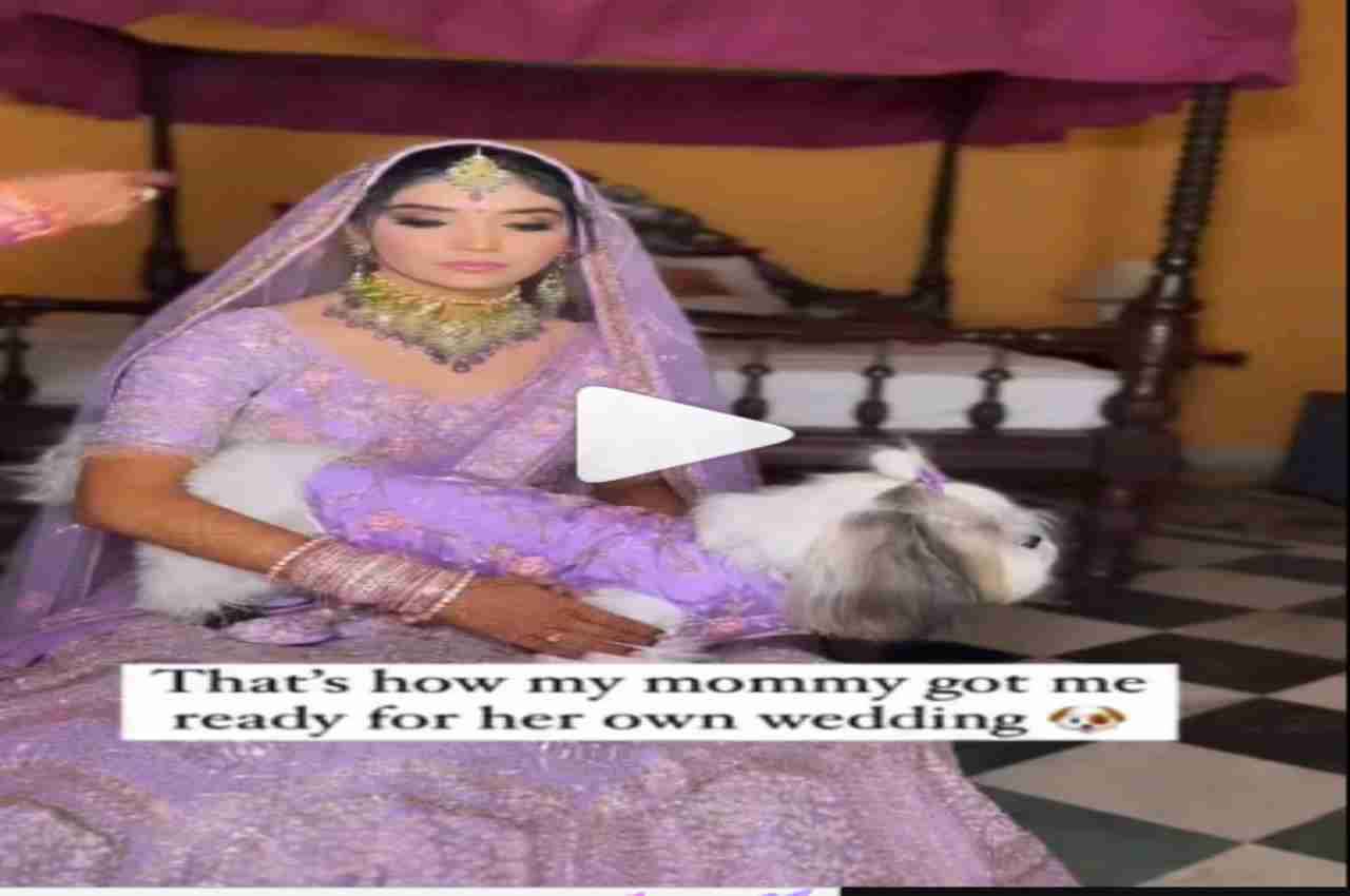 Viral Video: शादी में दुल्हन ने डॉगी को पहनाया मैचिंग आउटफिट, वीडियो देख यूजर्स लुटा रहे प्यार