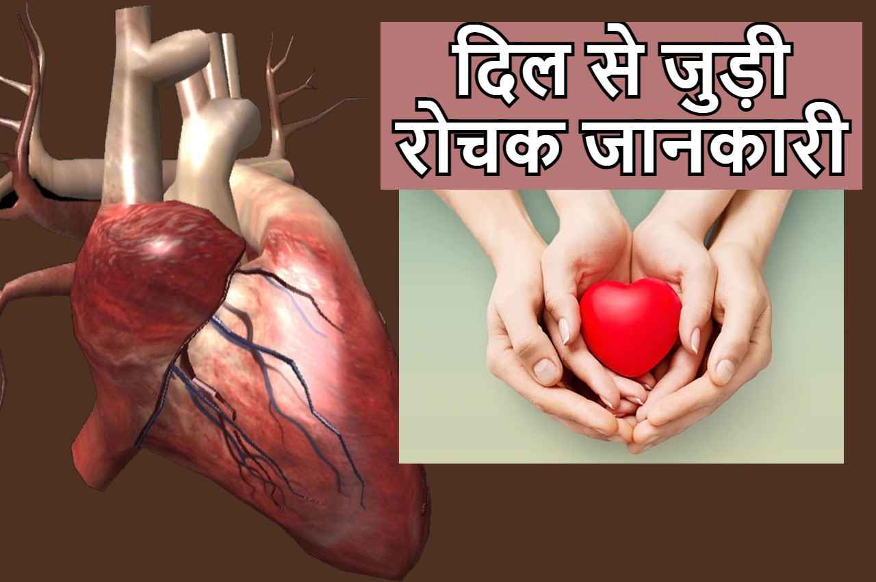Heart Interesting Facts