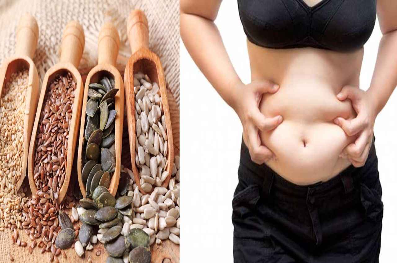 Weight Loss Seeds: ये 3 बीज मोटापे से दिलाएंगे राहत, पिघल जाएगी पेट की जिद्दी चर्बी! बस ऐसे करें सेवन
