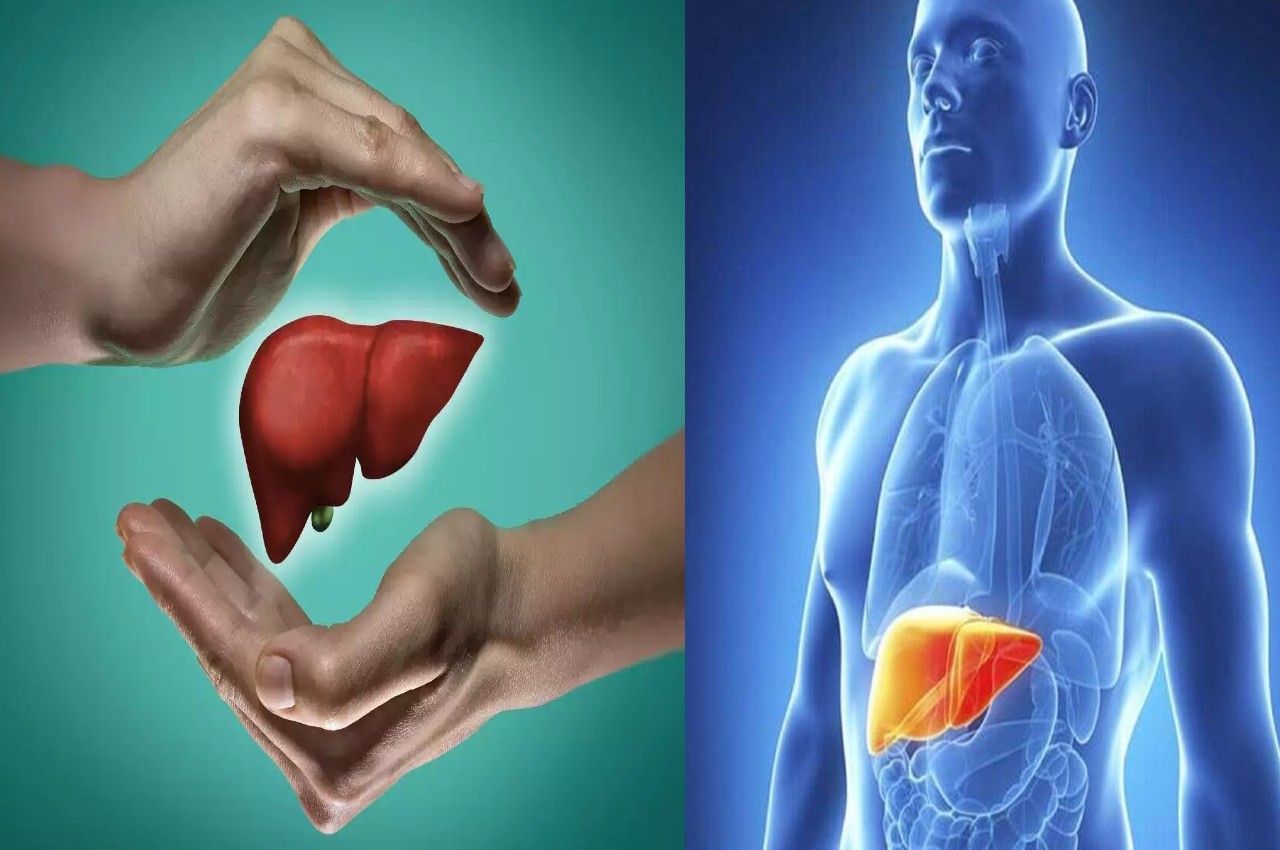 Liver Care TIPS These 5 foods make the liver strong
