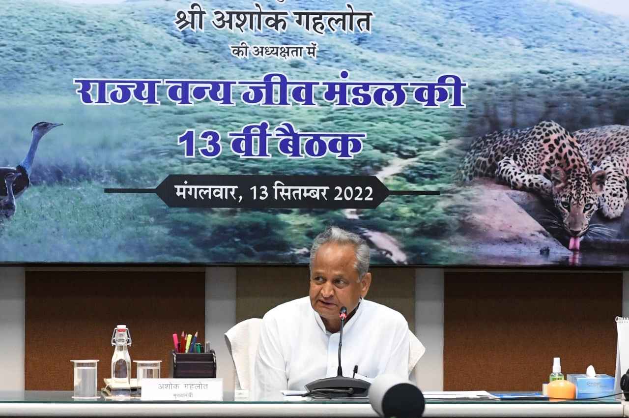 Rajasthan: प्रदेश में 2 अक्टूबर से वन्यजीव सप्ताह का होगा आयोजन, सीएम गहलोत ने दिए निर्देश