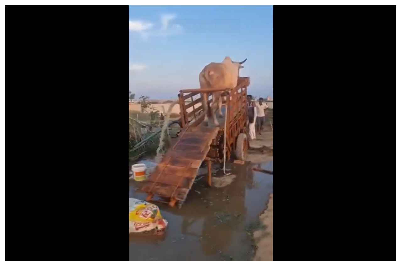 Viral Video: गांव वालों ने जमीन से पानी निकालने का बनाया कुछ ऐसा जुगाड़ा, देखकर आप भी हो जाएंगे फिदा 