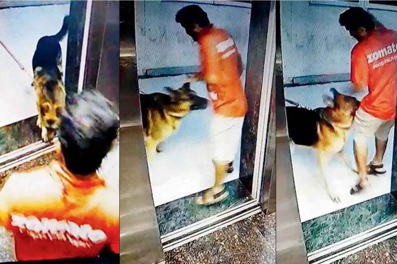 Viral Video: अब महाराष्ट्र में कुत्ते का हमला, जोमैटी डिलीवरी ब्वॉय के प्राइवेट पार्ट पर काटा