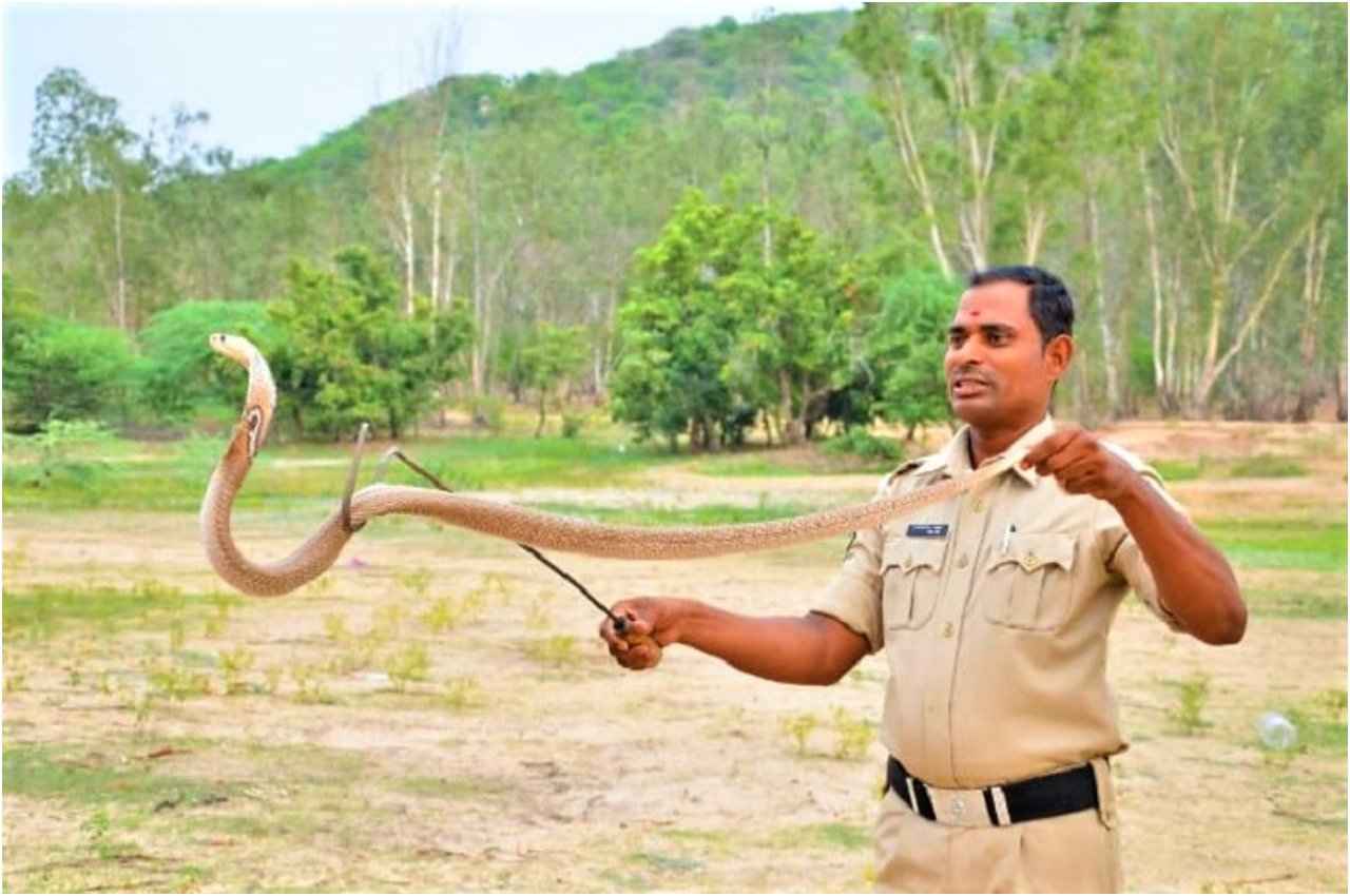 IND vs AUS: तीसरे T20 मैच में सांपों का डर! हैदराबाद के स्टेडियम में इस वजह से निकल रहे स्नेक