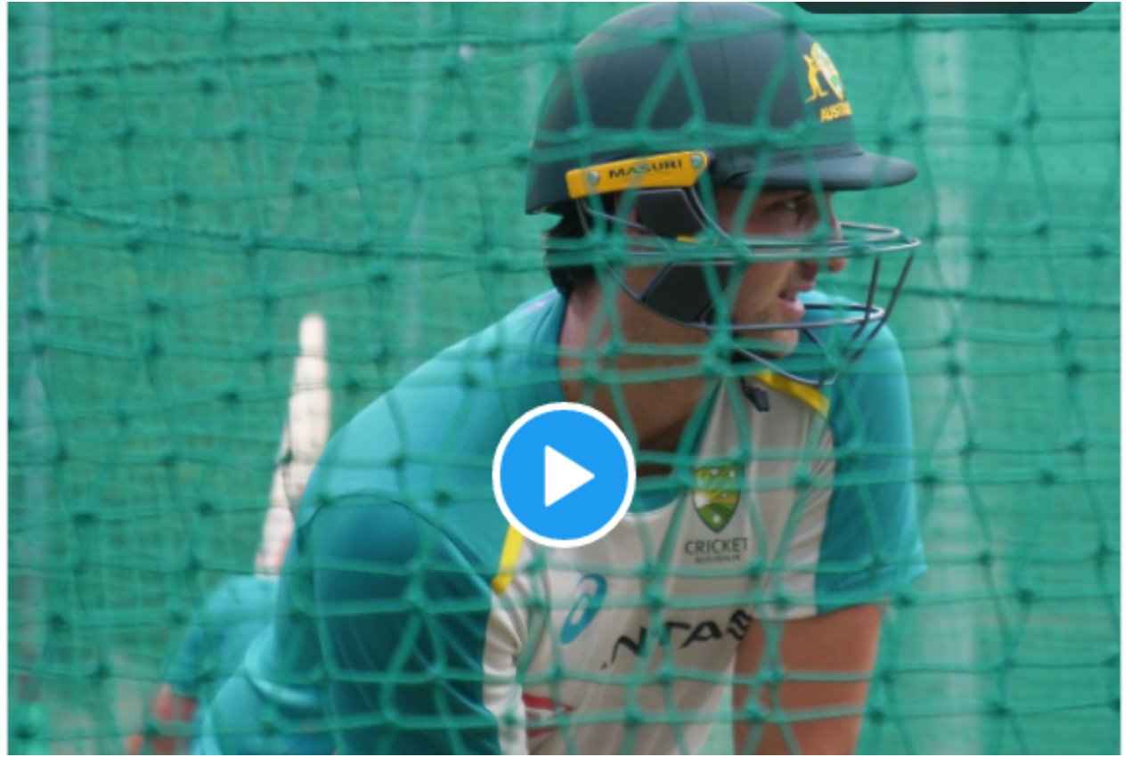 ind vs aus tim david