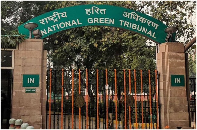 national green tribunal