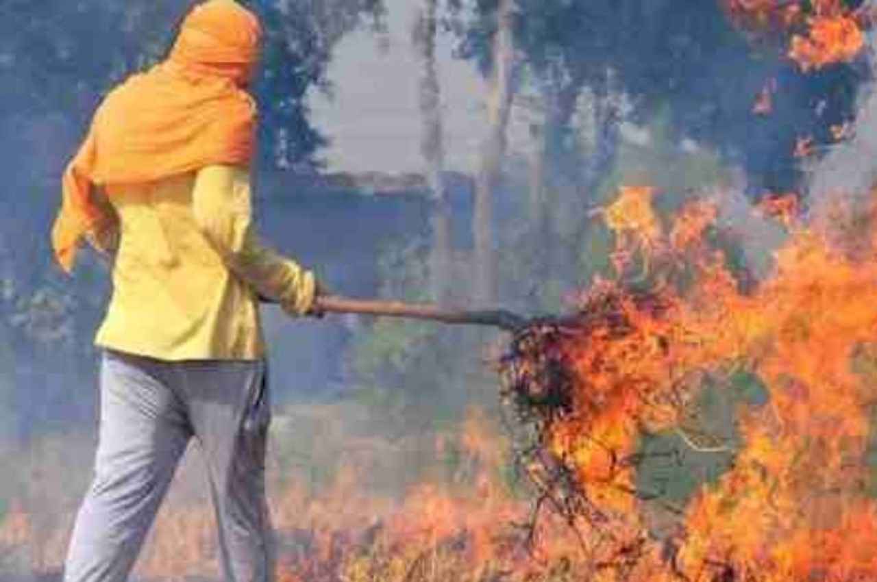 पराली की समस्या पर केंद्र ने पंजाब के प्रस्ताव को ठुकराया, मान सरकार ने दिया था ये सुझाव