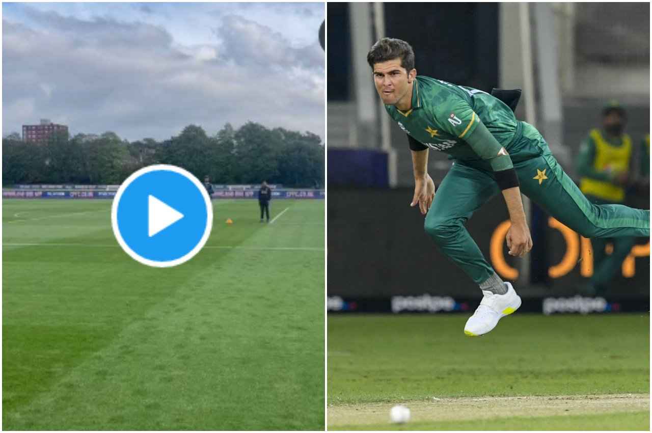 shaheen afridi